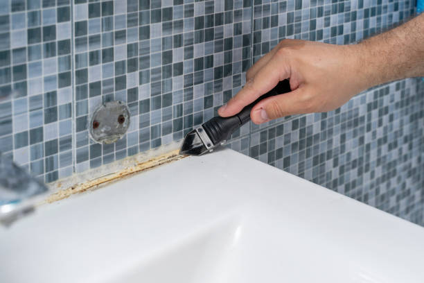 Best Emergency Mold Remediation in Lowell, AR