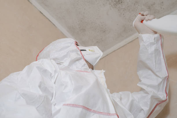 Trusted Lowell, AR Mold Remediation Experts